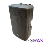 active-speaker-mts15-3